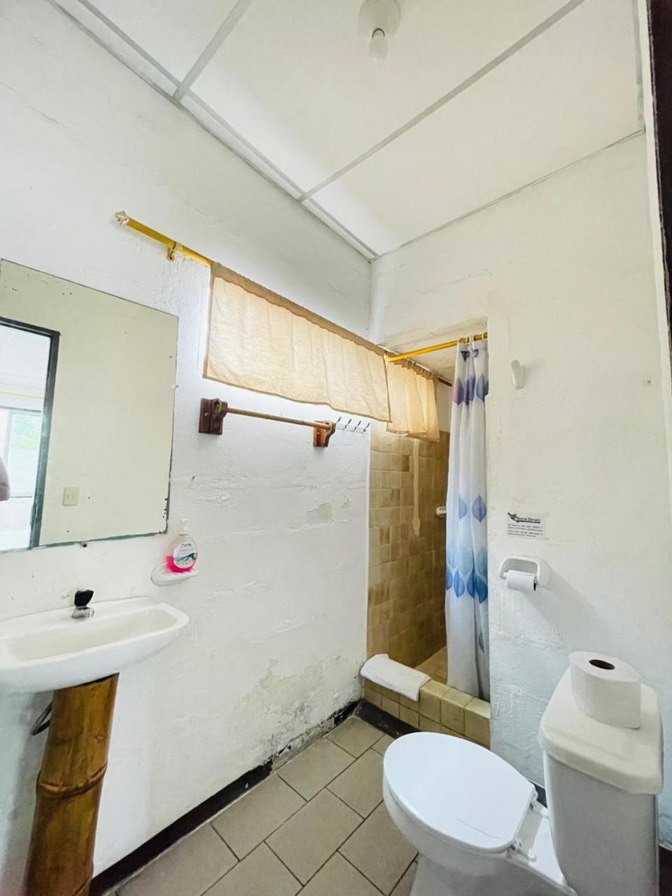 Hostal Darwin Puerto Ayora  Kültér fotó