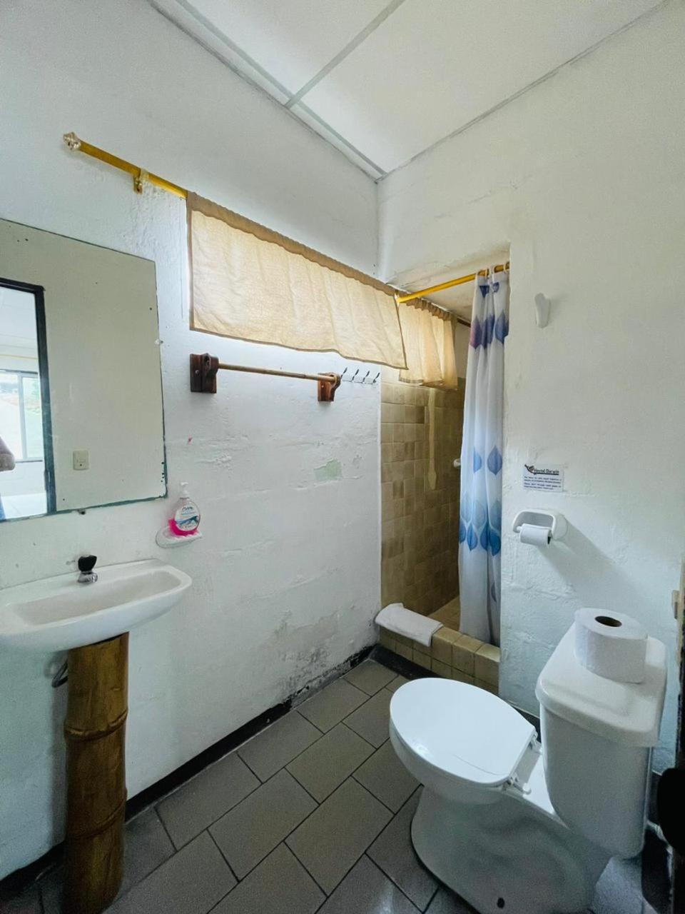 Hostal Darwin Puerto Ayora  Kültér fotó